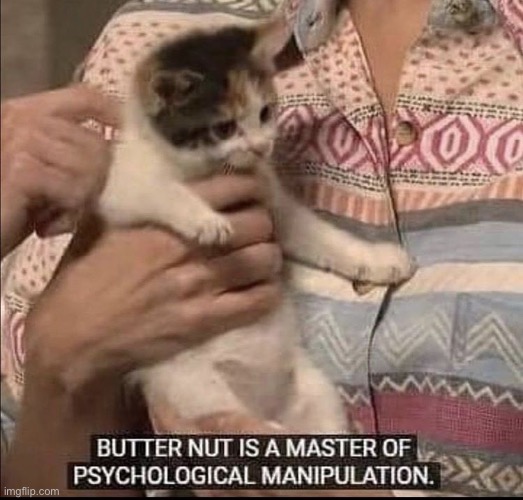 butternut is a master of psychological manipulation | image tagged in butternut is a master of psychological manipulation | made w/ Imgflip meme maker