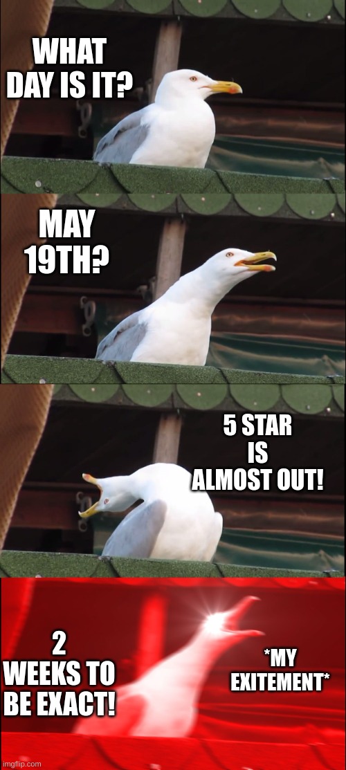 2 WEEKS TODAY!!!!!!!!!!! | WHAT DAY IS IT? MAY 19TH? 5 STAR IS ALMOST OUT! 2 WEEKS TO BE EXACT! *MY EXITEMENT* | image tagged in 5star,exited,straykids,stay | made w/ Imgflip meme maker