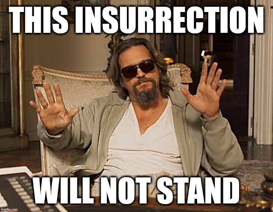 fnck it... | THIS INSURRECTION; WILL NOT STAND | image tagged in the dude | made w/ Imgflip meme maker