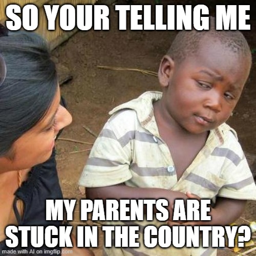 the only good ai meme from this template | SO YOUR TELLING ME; MY PARENTS ARE STUCK IN THE COUNTRY? | image tagged in memes,third world skeptical kid | made w/ Imgflip meme maker