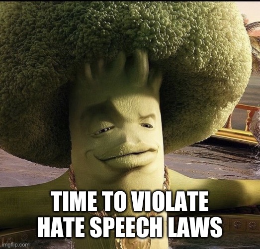 Me when | TIME TO VIOLATE HATE SPEECH LAWS | image tagged in memes,funny,beats by dre slick balls | made w/ Imgflip meme maker