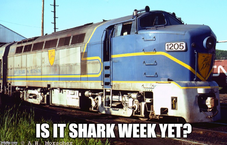Hilarious and original joke. ?? | IS IT SHARK WEEK YET? | image tagged in train,railfan,foamer | made w/ Imgflip meme maker