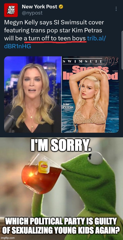 Also, Kim Petras is hot. Cry about it. | I'M SORRY. WHICH POLITICAL PARTY IS GUILTY OF SEXUALIZING YOUNG KIDS AGAIN? | image tagged in memes,but that's none of my business,transgender,lgbtq,groomer,megyn kelly | made w/ Imgflip meme maker