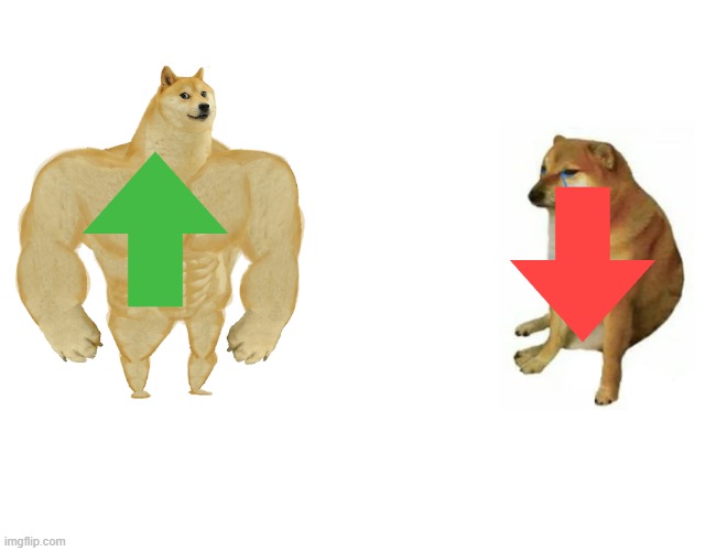 on no | image tagged in memes,buff doge vs cheems | made w/ Imgflip meme maker