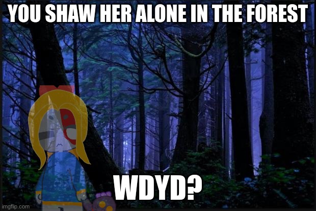 Dark forest | YOU SHAW HER ALONE IN THE FOREST; WDYD? | image tagged in dark forest | made w/ Imgflip meme maker