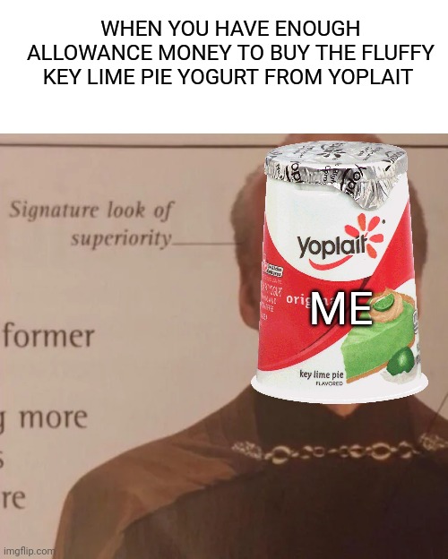 Key lime pie yogurt is a signature yogurt of superiority | WHEN YOU HAVE ENOUGH ALLOWANCE MONEY TO BUY THE FLUFFY KEY LIME PIE YOGURT FROM YOPLAIT; ME | image tagged in signature look of superiority | made w/ Imgflip meme maker