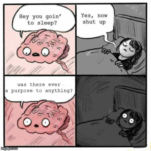 E T E R N A L S U F F E R I N G | was there ever a purpose to anything? | image tagged in hey you going to sleep | made w/ Imgflip meme maker