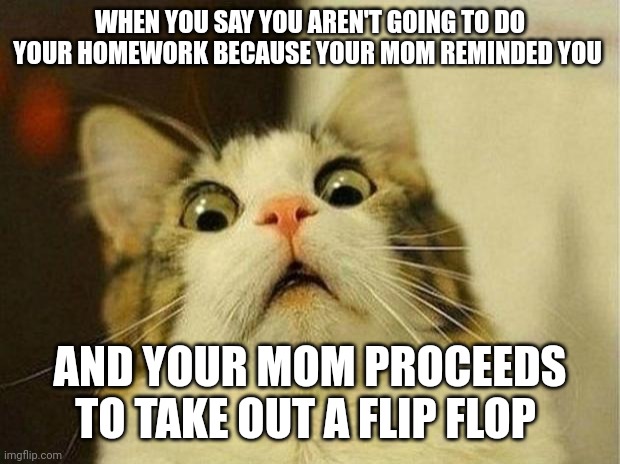 Not the flip flop!!! | WHEN YOU SAY YOU AREN'T GOING TO DO YOUR HOMEWORK BECAUSE YOUR MOM REMINDED YOU AND YOUR MOM PROCEEDS TO TAKE OUT A FLIP FLOP | image tagged in memes,scared cat | made w/ Imgflip meme maker