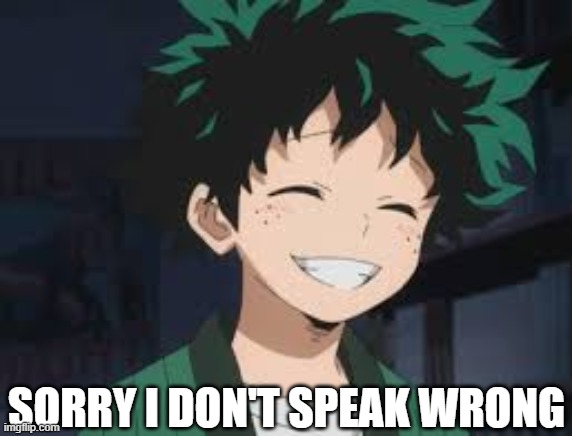 Deku smile | SORRY I DON'T SPEAK WRONG | image tagged in deku smile | made w/ Imgflip meme maker