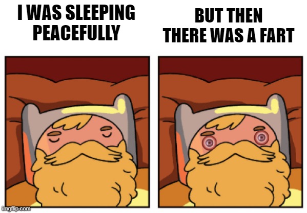 It Smells... | BUT THEN THERE WAS A FART; I WAS SLEEPING PEACEFULLY | image tagged in finn wakes up,adventure time,comics/cartoons,funny,funny memes,fart | made w/ Imgflip meme maker