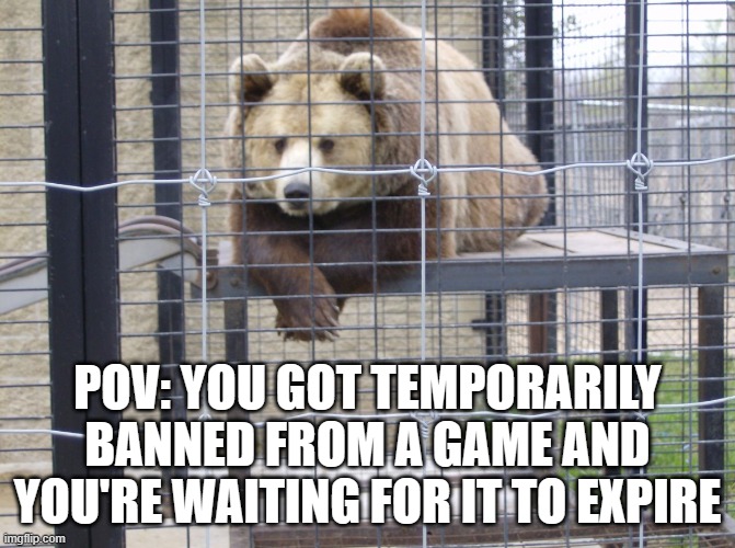 This is what it feels like to be banned | POV: YOU GOT TEMPORARILY BANNED FROM A GAME AND YOU'RE WAITING FOR IT TO EXPIRE | image tagged in captive bear,video games,banned | made w/ Imgflip meme maker