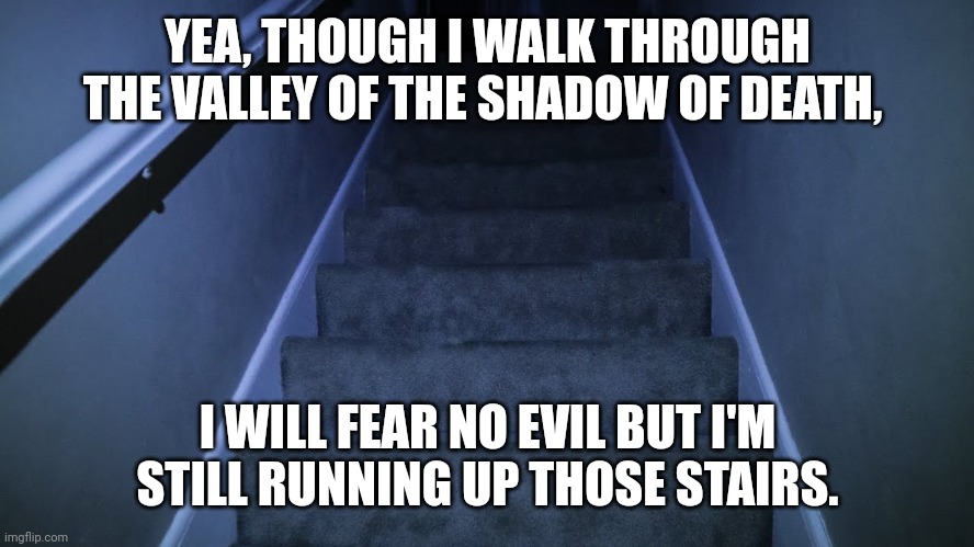 Shadow of the stairs | YEA, THOUGH I WALK THROUGH THE VALLEY OF THE SHADOW OF DEATH, I WILL FEAR NO EVIL BUT I'M STILL RUNNING UP THOSE STAIRS. | image tagged in christianity,bible,holy bible,holy music stops,scary,darkness | made w/ Imgflip meme maker