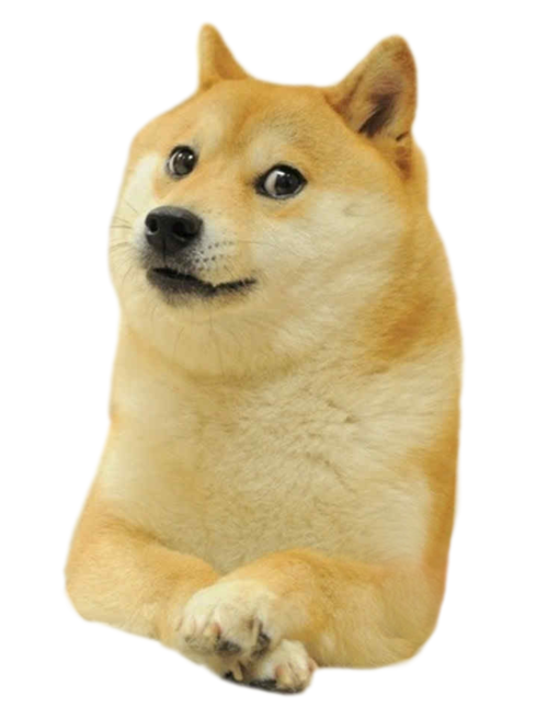 High Quality Doge png Blank Meme Template