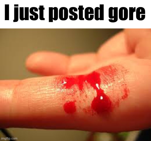 I just posted gore | made w/ Imgflip meme maker