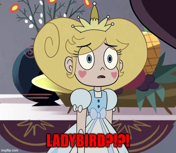 Star butterfly | LADYBIRD?!?! | image tagged in star butterfly | made w/ Imgflip meme maker