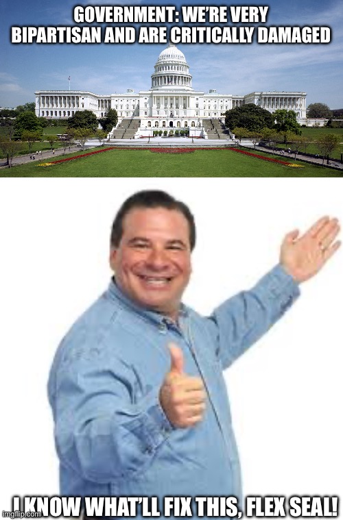 GOVERNMENT: WE’RE VERY BIPARTISAN AND ARE CRITICALLY DAMAGED; I KNOW WHAT’LL FIX THIS, FLEX SEAL! | image tagged in u s government | made w/ Imgflip meme maker