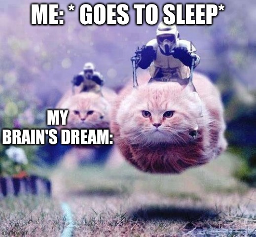 Storm Trooper Cats | ME: * GOES TO SLEEP*; MY BRAIN'S DREAM: | image tagged in storm trooper cats | made w/ Imgflip meme maker
