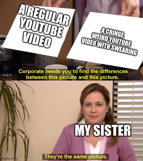 They are the same picture | A REGULAR YOUTUBE VIDEO; A CRINGE, WEIRD YOUTUBE VIDEO WITH SWEARING; MY SISTER | image tagged in they are the same picture | made w/ Imgflip meme maker