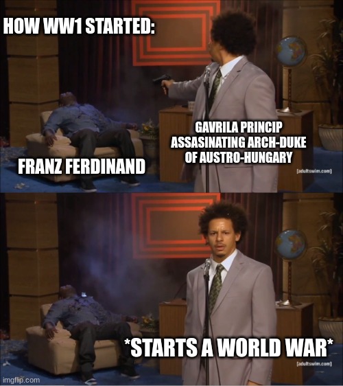 Why | HOW WW1 STARTED:; GAVRILA PRINCIP ASSASINATING ARCH-DUKE OF AUSTRO-HUNGARY; FRANZ FERDINAND; *STARTS A WORLD WAR* | image tagged in memes,who killed hannibal | made w/ Imgflip meme maker