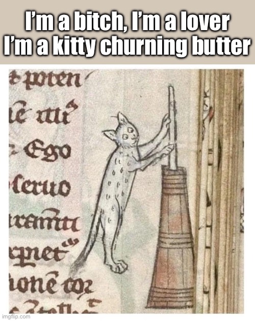 Butter | I’m a bitch, I’m a lover
I’m a kitty churning butter | image tagged in kitty,cat,butter,bitch,lover | made w/ Imgflip meme maker