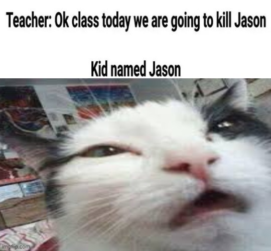 real | image tagged in cats,jason,kids,wow | made w/ Imgflip meme maker