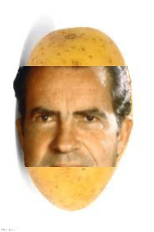 Potato | image tagged in potato | made w/ Imgflip meme maker