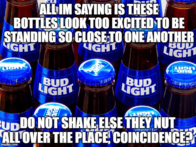 i think you make a good point, bruh | ALL IM SAYING IS THESE BOTTLES LOOK TOO EXCITED TO BE STANDING SO CLOSE TO ONE ANOTHER; DO NOT SHAKE ELSE THEY NUT ALL OVER THE PLACE, COINCIDENCE? | image tagged in bud light,stupid,funny memes,beer,suggestive,alcohol | made w/ Imgflip meme maker