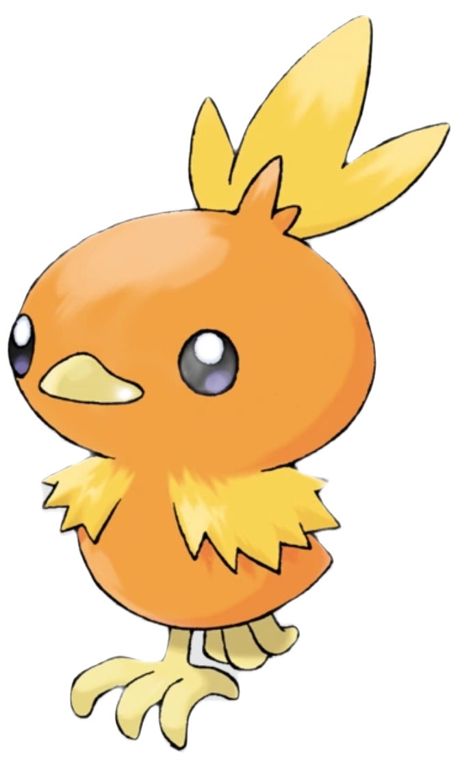 High Quality Torchic Blank Meme Template