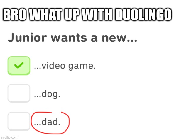 Bro literally wants a new dad | BRO WHAT UP WITH DUOLINGO | image tagged in duolingo,memes,weird,dad,funny | made w/ Imgflip meme maker