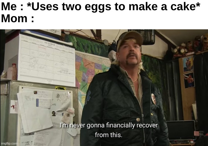 Too true | Me : *Uses two eggs to make a cake*
Mom : | image tagged in memes,funny,relatable,eggs,cake,front page plz | made w/ Imgflip meme maker