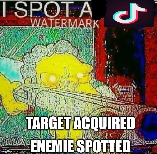Tik tok needs to be stopped !!!! | TARGET ACQUIRED; ENEMIE SPOTTED | image tagged in i spot a tik tok watermark,anti tiktok union | made w/ Imgflip meme maker