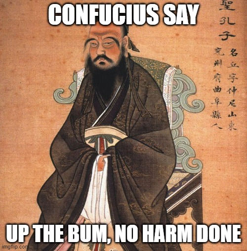 CONFUCIUS SAY; UP THE BUM, NO HARM DONE | image tagged in confucius says | made w/ Imgflip meme maker