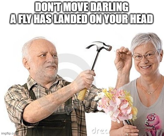 Harold and his wife | DON'T MOVE DARLING
 A FLY HAS LANDED ON YOUR HEAD | image tagged in harold and his wife | made w/ Imgflip meme maker