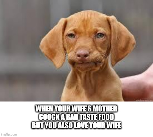 wife's mother food | WHEN YOUR WIFE'S MOTHER
COOCK A BAD TASTE FOOD
BUT YOU ALSO LOVE YOUR WIFE | image tagged in disappointed dog,family,fun | made w/ Imgflip meme maker