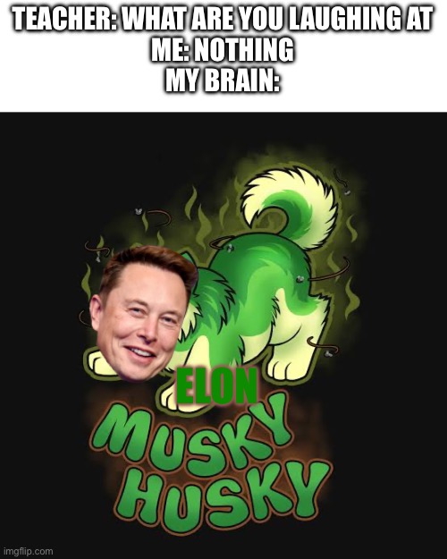 Meme number: ?????????? | TEACHER: WHAT ARE YOU LAUGHING AT
ME: NOTHING
MY BRAIN:; ELON | image tagged in elon musk,anti furry | made w/ Imgflip meme maker