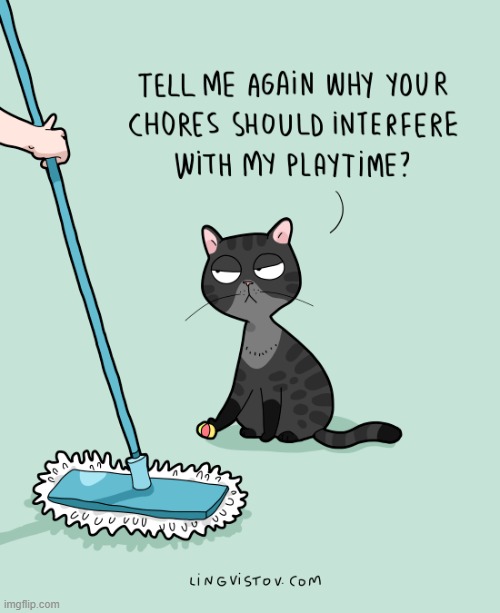 A Cat's Way Of Thinking | image tagged in memes,comics/cartoons,cats,chores,handicapped,play | made w/ Imgflip meme maker