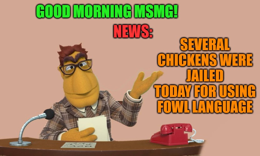 todays news! | NEWS:; GOOD MORNING MSMG! SEVERAL CHICKENS WERE JAILED TODAY FOR USING FOWL LANGUAGE | image tagged in news,joke,kewlew | made w/ Imgflip meme maker