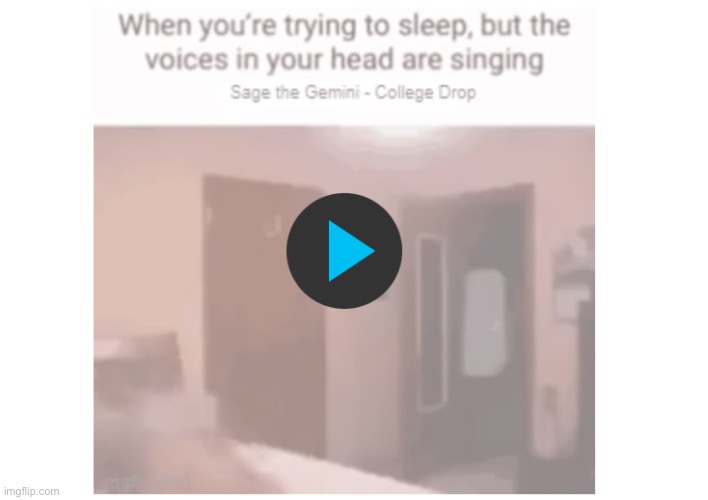 Not the smartest tool in the shed | image tagged in funny memes | made w/ Imgflip meme maker