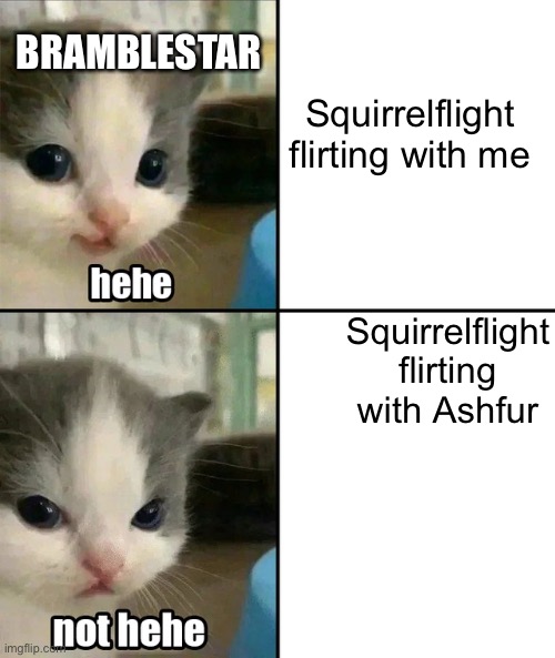 Cute cat hehe and not hehe | Squirrelflight flirting with me; BRAMBLESTAR; Squirrelflight flirting with Ashfur | image tagged in cute cat hehe and not hehe | made w/ Imgflip meme maker
