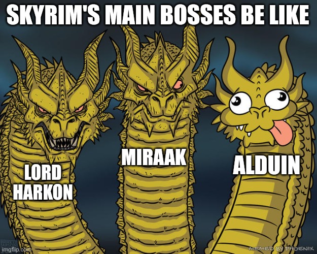 Bosses of Skyrim | SKYRIM'S MAIN BOSSES BE LIKE; MIRAAK; ALDUIN; LORD HARKON; MEMED BY PHOENIX | image tagged in three-headed dragon | made w/ Imgflip meme maker