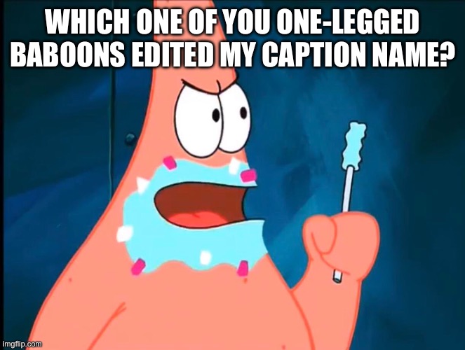 which one of you flatfoots | WHICH ONE OF YOU ONE-LEGGED BABOONS EDITED MY CAPTION NAME? | image tagged in which one of you flatfoots | made w/ Imgflip meme maker