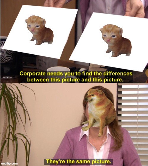 I don't see any difference... | image tagged in memes,they're the same picture | made w/ Imgflip meme maker