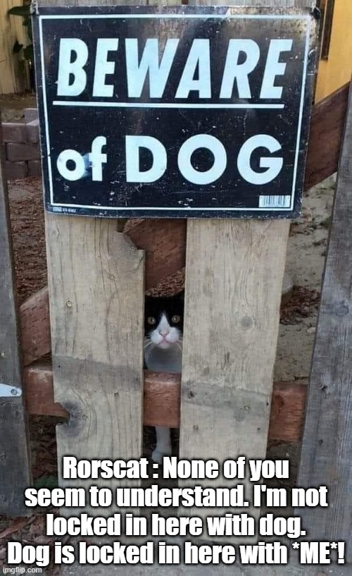 Rorscat | Rorscat : None of you seem to understand. I'm not locked in here with dog. Dog is locked in here with *ME*! | image tagged in rorschach,watchmen,locked | made w/ Imgflip meme maker
