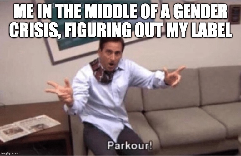 parkour! | ME IN THE MIDDLE OF A GENDER CRISIS, FIGURING OUT MY LABEL | image tagged in parkour,gender,gender identity | made w/ Imgflip meme maker