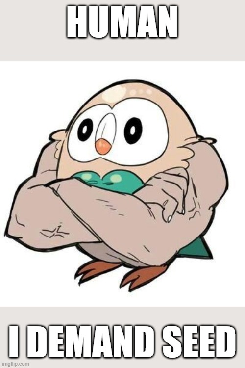 MUSCLE ROWLET | HUMAN; I DEMAND SEED | image tagged in muscle rowlet | made w/ Imgflip meme maker