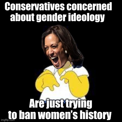 Our artificial intelligence/border czar says | Conservatives concerned about gender ideology; Are just trying to ban women’s history | image tagged in look marge,politics lol,memes,derp | made w/ Imgflip meme maker