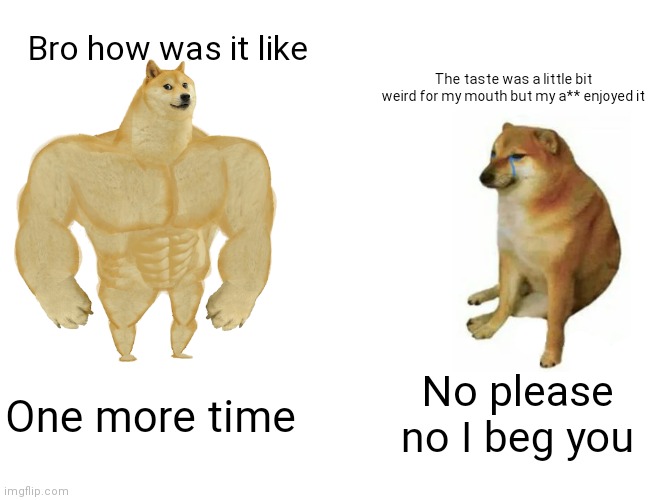 Buff Doge vs. Cheems | Bro how was it like; The taste was a little bit weird for my mouth but my a** enjoyed it; No please no I beg you; One more time | image tagged in memes,buff doge vs cheems | made w/ Imgflip meme maker