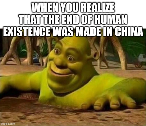 Can’t argue with facts they are well on their way | WHEN YOU REALIZE THAT THE END OF HUMAN EXISTENCE WAS MADE IN CHINA | image tagged in shrek | made w/ Imgflip meme maker