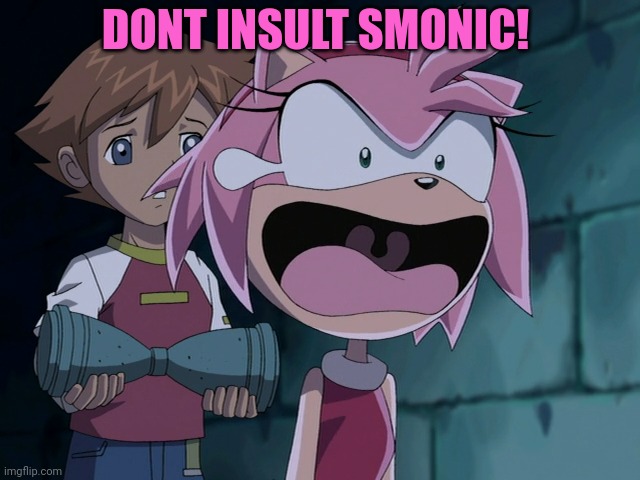 Amy Rose Screaming | DONT INSULT SMONIC! | image tagged in amy rose screaming | made w/ Imgflip meme maker