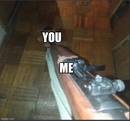 Gun pointing at freddy | ME YOU | image tagged in gun pointing at freddy | made w/ Imgflip meme maker